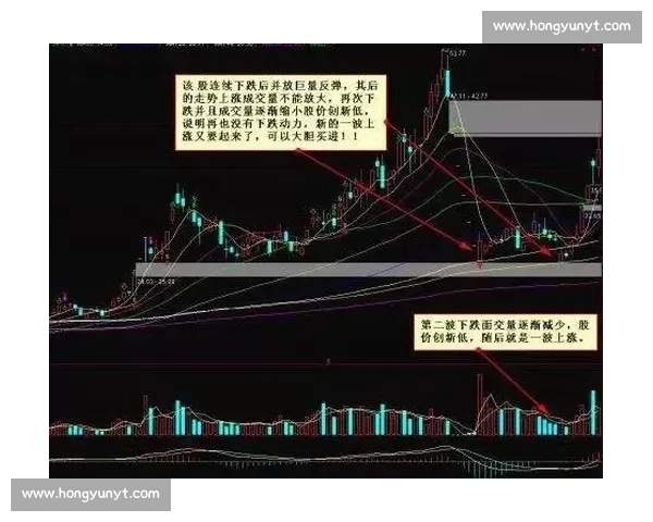 马卡拉vs德芬强强对话揭示战术博弈与胜负关键走向未来格局前瞻